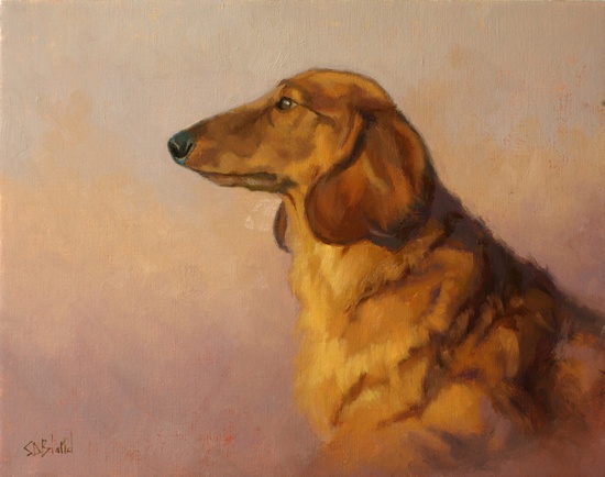 A portraits of a long haired dachshund by artist Simon Bland